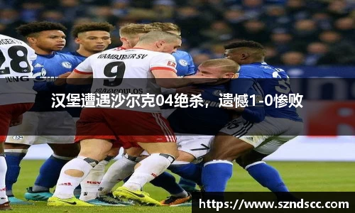 汉堡遭遇沙尔克04绝杀，遗憾1-0惨败